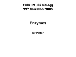 YEAR 12 - AS Biology 29th November 2005  Enzymes Mr Potter Lesson Objectives • Enzyme unit overview – What are they? – How they work • Activation.