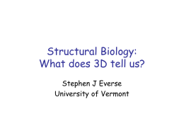 Structural Biology: What does 3D tell us? Stephen J Everse University of Vermont.