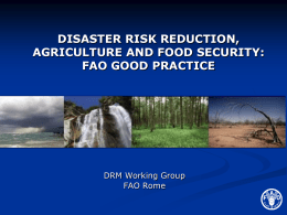 DISASTER RISK REDUCTION, AGRICULTURE AND FOOD SECURITY: FAO GOOD PRACTICE  DRM Working Group FAO Rome.