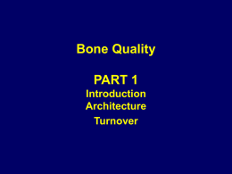 Bone Quality PART 1 Introduction Architecture Turnover Old Definition of Osteoporosis  A systemic skeletal disease characterized by low bone mass and microarchitectural deterioration of bone tissue, with.
