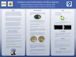 Isolation and Confirmation of Vibrio Species Katherine Kiley, Dr. Steve Jones, Dr.