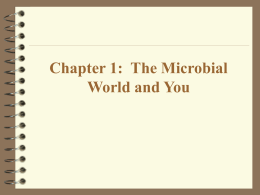 Chapter 1: The Microbial World and You Microbiology: The study of microorganisms. Microorganisms: Small living organisms that generally can not be seen with the.