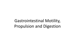 Gastrointestinal Motility, Propulsion and Digestion Learning Objectives GIT anatomy and the movement of food through the alimentary tract. • Know the basic anatomy of.