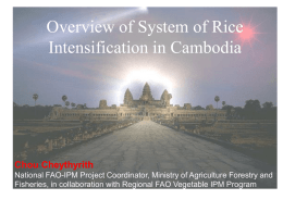 Overview of System of Rice Intensification in Cambodia  Chou Cheythyrith National FAO-IPM Project Coordinator, Ministry of Agriculture Forestry and Fisheries, in collaboration with Regional.
