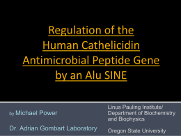 Regulation of the Human Cathelicidin Antimicrobial Peptide Gene by an Alu SINE by Michael  Power  Dr.