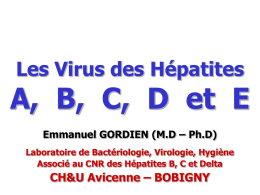 Les Virus des Hépatites  A, B, C, D et E Emmanuel GORDIEN (M.D – Ph.D) Laboratoire de Bactériologie, Virologie, Hygiène Associé au CNR des.