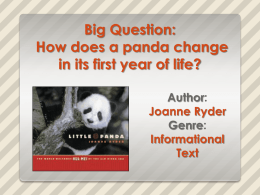Big Question: How does a panda change in its first year of life? Author: Joanne Ryder Genre: Informational Text.