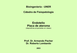 Bioingeniería - UNER Cátedra de Fisiopatología  Endotelio Placa de ateroma (diapositivas proyectadas en clases)  Prof.
