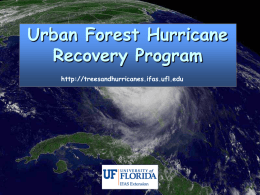 Urban Forest Hurricane Recovery Program http://treesandhurricanes.ifas.ufl.edu Getting the right tree care professional Eliana Kampf, Astrid Delgado, Mary Duryea.