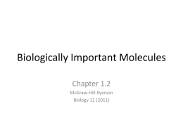Biologically Important Molecules Chapter 1.2 McGraw-Hill Ryerson Biology 12 (2011) Macromolecules • 4 Important macromolecules: – Carbohydrate – Nucleic Acid – Protein – Lipid  • Polymers are composed of.