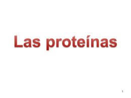 Concepto de proteínas • La palabra proteína viene del griego protos que significa "lo más antiguo, lo primero”. • Las proteínas son biopolímeros.