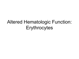 Altered Hematologic Function: Erythrocytes Physical Characteristics of Blood • Heavier, thicker, and 3-4 X more viscous than water • 38o C (100.4oF) • pH :