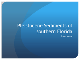 Pleistocene Sediments of southern Florida Trevor Anson Pleistocene Aged Rock Units  Most of southern Florida is underlain by marine sedimentary sequences.  These sequences are punctuated by.