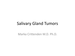 Salivary Gland Tumors Marka Crittenden M.D. Ph.D. Anatomy • Major Glands – Parotid, submandibular and sublingual glands  • Minor Glands – Hundreds residing in the.
