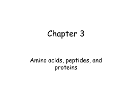 Chapter 3 Amino acids, peptides, and proteins Properties of Amino Acids • capacity to polymerize • novel acid-base properties • varied structure and chemical functionality • chirality.