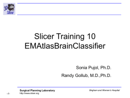 Slicer Training 10 EMAtlasBrainClassifier Sonia Pujol, Ph.D.  Randy Gollub, M.D.,Ph.D.  Surgical Planning Laboratory -1-  http://www.slicer.org  Brigham and Women’s Hospital.