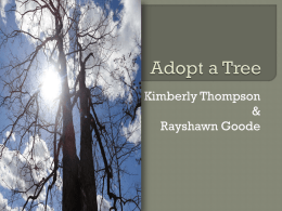 Kimberly Thompson & Rayshawn Goode  Common  Name-White Oak   Scientific  Name-Quereus Alba (Latin)   Belong  to the Beech Family ( Fagaceae)   Illinois  State tree since 1973