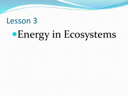 Lesson 3  Energy in Ecosystems Key Concepts/essential questions:  How does energy move in ecosystems?  How is the movement of energy in.