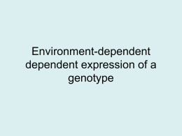 Environment-dependent dependent expression of a genotype Phenotypes are not always a direct reflection of genotypes • Temperature-sensitive alleles: Siamese color pattern • Nutritional effects: phenylketonuria.