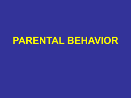PARENTAL BEHAVIOR The first social interactions of a newborn primate are with mother.