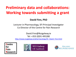 Preliminary data and collaborations: Working towards submitting a grant David Finn, PhD Lecturer in Pharmacology, SFI Principal Investigator Co-Director of the Centre for Pain.