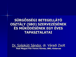 SÜRGŐSSÉGI BETEGELLÁTÓ OSZTÁLY (SBO) SZERVEZÉSÉNEK ÉS MŰKÖDÉSÉNEK EGY ÉVES TAPASZTALATAI  Dr. Szépkúti Sándor, dr.