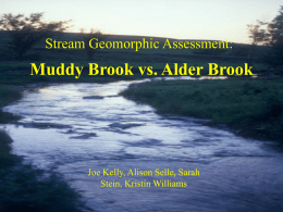 Stream Geomorphic Assessment:  Muddy Brook vs. Alder Brook  Joe Kelly, Alison Selle, Sarah Stein, Kristin Williams.