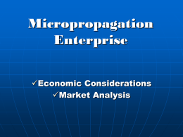 Micropropagation Enterprise Economic Considerations Market Analysis Commercial Plant Tissue Culture Laboratory   Independent Enterprise where the finished product is the tissue cultured plant in vitro    Integrated Enterprise where marketing and.