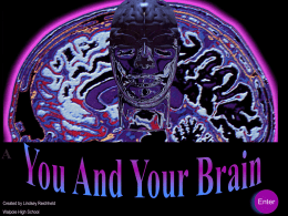Created by Lindsey Reichheld Walpole High School  Enter Welcome to you and your brain. You will be navigating through a presentation on your brain.