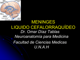 MENINGES LIQUIDO CEFALORRAQUÍDEO Dr. Omar Díaz Tablas Neuroanatomía para Medicina Facultad de Ciencias Medicas U.N.A.H.
