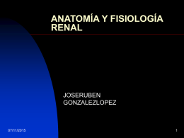 ANATOMÍA Y FISIOLOGÍA RENAL  JOSERUBEN GONZALEZLOPEZ  07/11/2015 RIÑÓN, ESTRUCTURA Y VASCULARIZACIÓN APARATO URINARIO El aparato urinario normal está compuesto por dos riñones, dos uréteres, una vejiga y una uretra.