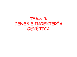 TEMA 5: GENES E INGENIERÍA GENÉTICA 1. ADN: el material de los genes.