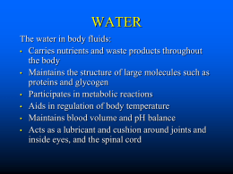 WATER The water in body fluids: • Carries nutrients and waste products throughout the body • Maintains the structure of large molecules such as proteins.