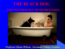 THE BLACK DOG THE PSYCHOLOGY OF DEPRESSSION  Professor Glenn Wilson, Gresham College, London.