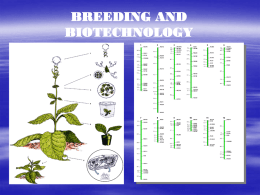 BREEDING AND BIOTECHNOLOGY Breeding?  Application of genetics principles for improvement  “Accelerated” and “targeted evolution”  An evolution by artificial selection  Systematic process.
