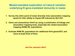 Mutant-assisted exploration of natural variation underlying R gene-mediated immunity in maize 1.