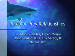 Predator-Prey Relationships By: Maria Casillas, Devin Morris, John Paul Phillips, Elly Sarabi, & Nernie Tam.