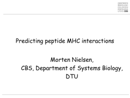 Predicting peptide MHC interactions Morten Nielsen, CBS, Department of Systems Biology, DTU MHC Class I pathway Finding the needle in the haystack 1/200 peptides make to.