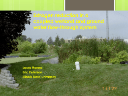 Estrogen reduction in a coupled wetland and ground water flow-through system  Laura Hanna Eric Peterson Illinois State University.