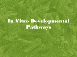 In Vitro Developmental Pathways Explants Sterile pieces of a whole plant from which cultures are generally initiated Types of explant: Generally all plant cells can.