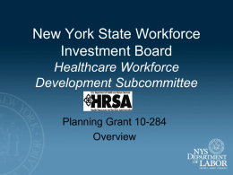 New York State Workforce Investment Board Healthcare Workforce Development Subcommittee Planning Grant 10-284 Overview Affordable Care Act With passage of the Patient Protection and Affordable Care Act.