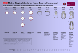Theiler Staging Criteria for Mouse Embryo Development For full descriptions of Theiler staging and mouse anatomy visit http://genex.hgu.mrc.ac.uk/Atlas/intro.html  TS 1  TS 2  TS 3  TS.
