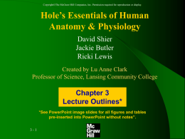CopyrightThe McGraw-Hill Companies, Inc. Permission required for reproduction or display.  Hole’s Essentials of Human Anatomy & Physiology David Shier Jackie Butler Ricki Lewis Created by Lu.