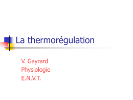La thermorégulation V. Gayrard Physiologie E.N.V.T. Introduction       Température corporelle: variable physiologique essentielle Nécessité du maintien de la température corporelle Lutte contre les variations de la température ambiante.