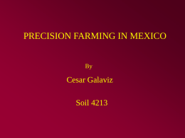 PRECISION FARMING IN MEXICO  By  Cesar Galaviz  Soil 4213 INTRODUCTION • GIS became important in Mexican agriculture because of need to inform to decision makers.