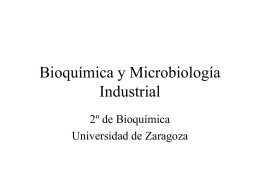 Bioquímica y Microbiología Industrial 2º de Bioquímica Universidad de Zaragoza Bioquímica y Microbiología Industrial  José Antonio Enríquez Ext 1646 E-mail: enriquez@posta.unizar.es.