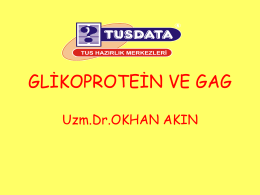 GLİKOPROTEİN VE GAG Uzm.Dr.OKHAN AKIN Glikoproteinler: Oligosakkaridlere kovalent olarak bağlı proteinlerdir. Glikoproteinlerin karbonhidrat zinciri genellikle dallıdır ve negatif yüklü olmayabilir.