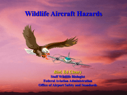 Wildlife Aircraft Hazards  Biol. Ed Cleary Staff Wildlife Biologist Federal Aviation Administration Office of Airport Safety and Standards.