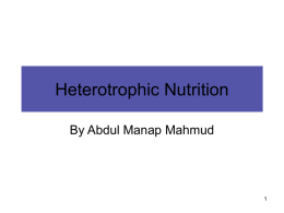 Heterotrophic Nutrition By Abdul Manap Mahmud Introduction Definitions of heterotrophic on the Web: • Refers to organisms, such as animals, that depend on.