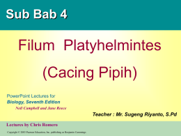 Sub Bab 4  Filum Platyhelmintes (Cacing Pipih) PowerPoint Lectures for Biology, Seventh Edition Neil Campbell and Jane Reece  Teacher : Mr.